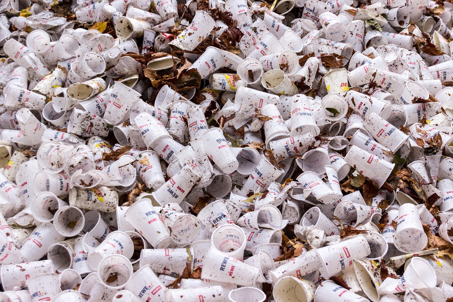 Single-use plastics associated with council premises
